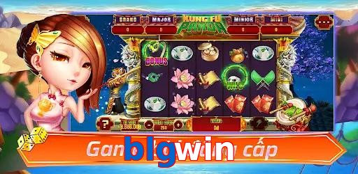 blgwin